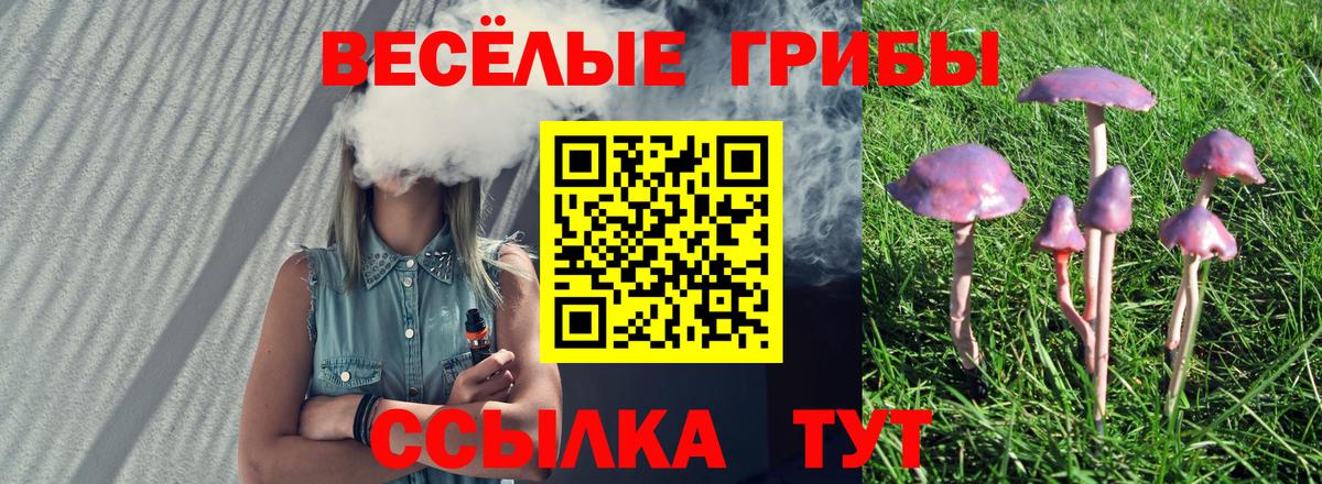 Галлюциногенные грибы мухоморы  Вход с VPN  Коряжма 
